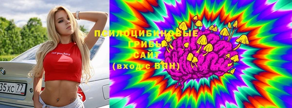 хмурый Сафоново