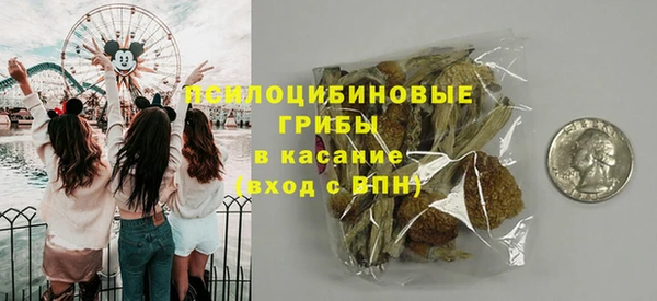 хмурый Сафоново