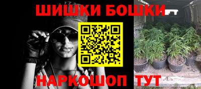 гидропоника Гатчина