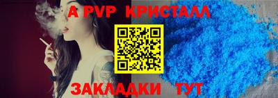 ECSTASY Гай