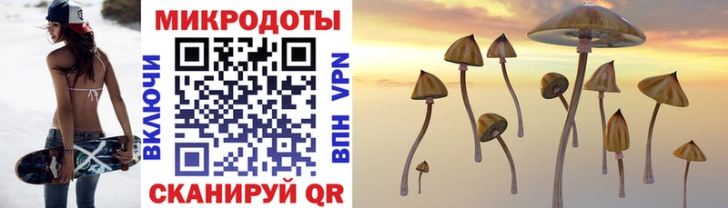 Псилоцибиновые грибы Psilocybine cubensis  Шарыпово 