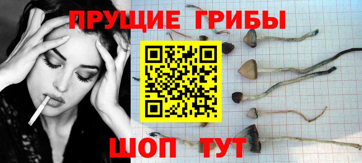 Галлюциногенные грибы Magic Shrooms Шарыпово